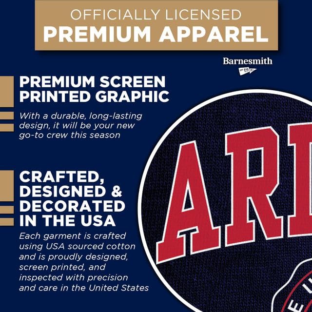 Image of Ivysport Crewneck Sweatshirt for College, Heritage Logo, Color, Adult Unisex