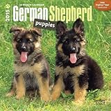German Shepherd Puppies 2015 Mini 7x7 (Multilingual Edition)