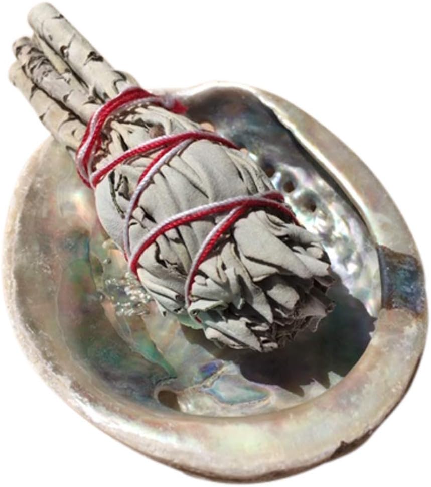 Californian White Sage Smudge Stick Plus Abalone Shell Shaman Meditation Incense Ceremony
