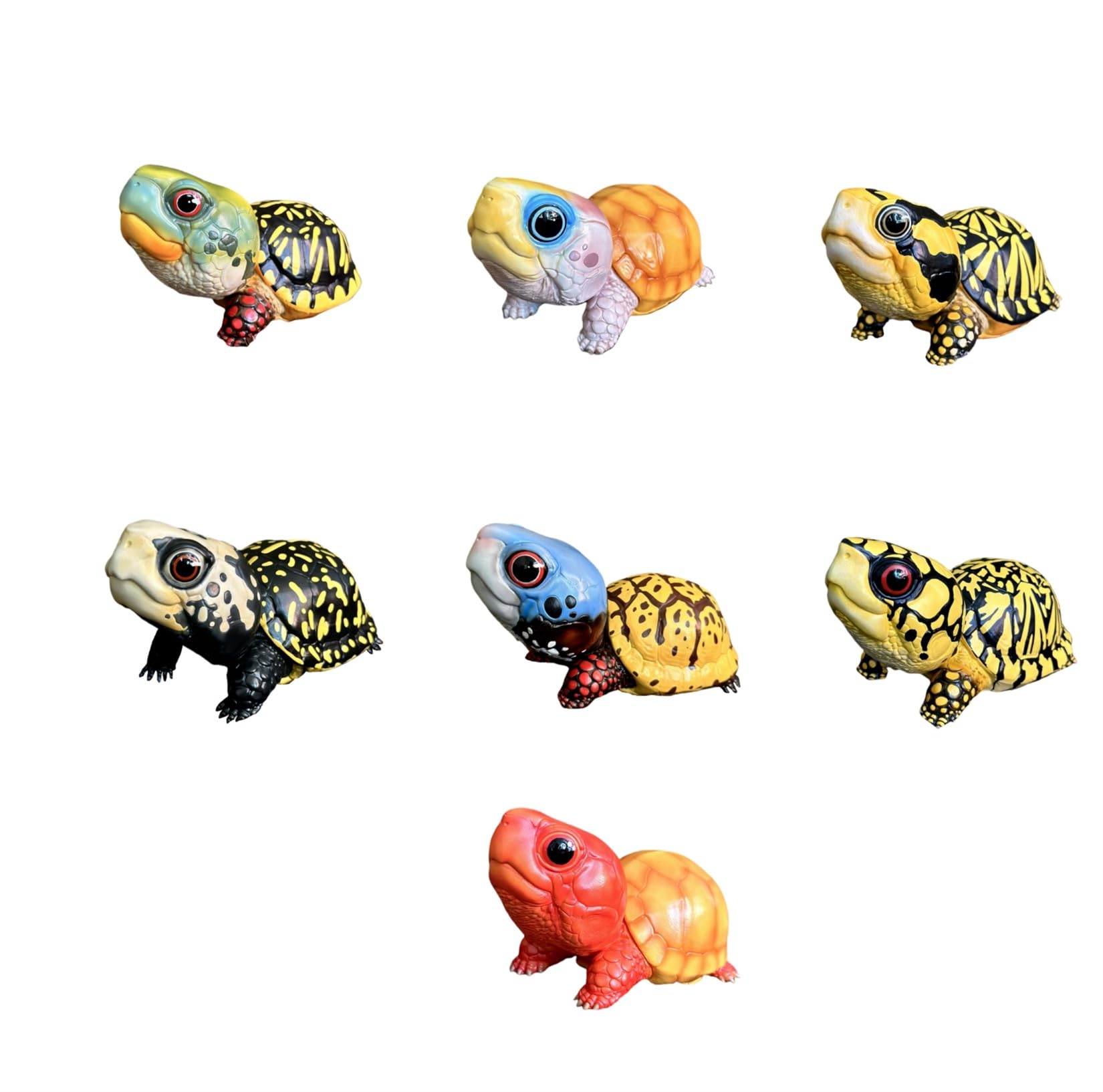 Amazon.co.jp: 動物惑星 ハコガメ フィギュア カメ 亀 10.5CM級 カメ目