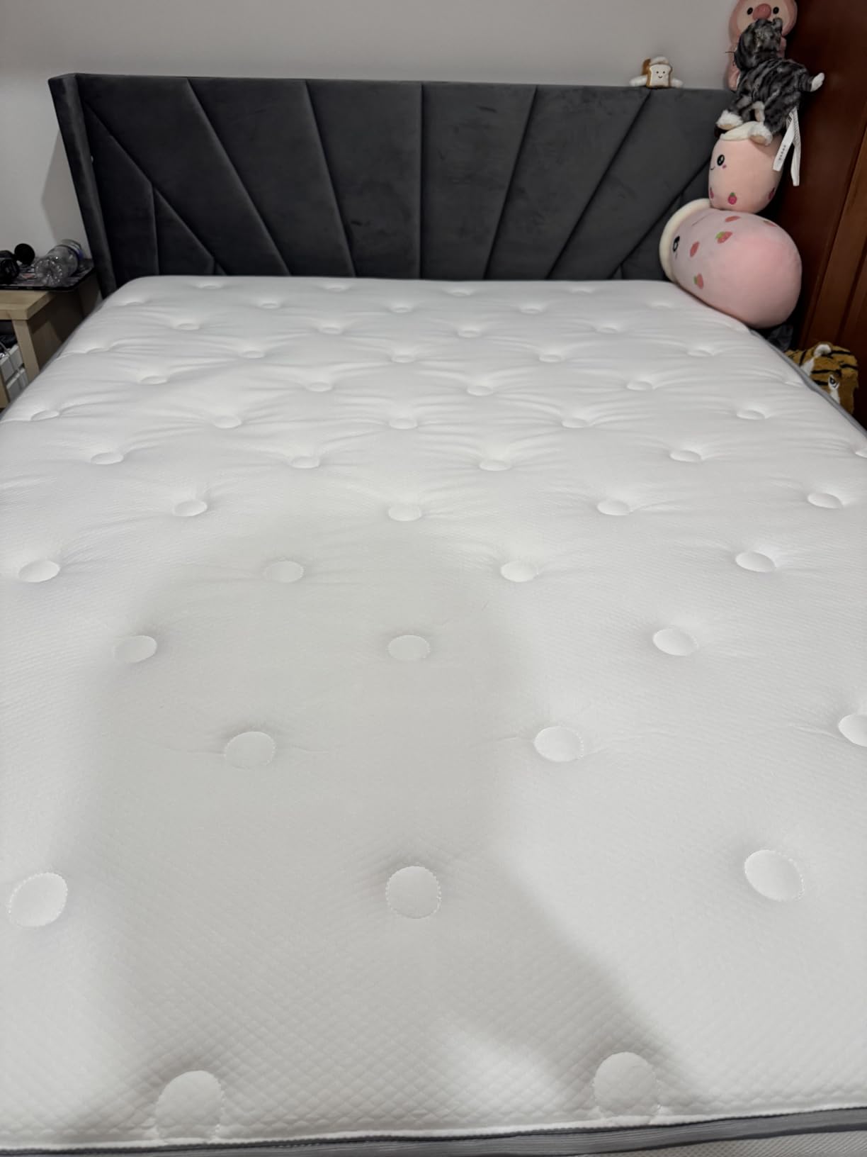 Customer photo