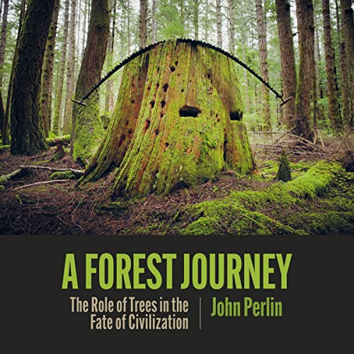 A Forest Journey by John Perlin episode artwork