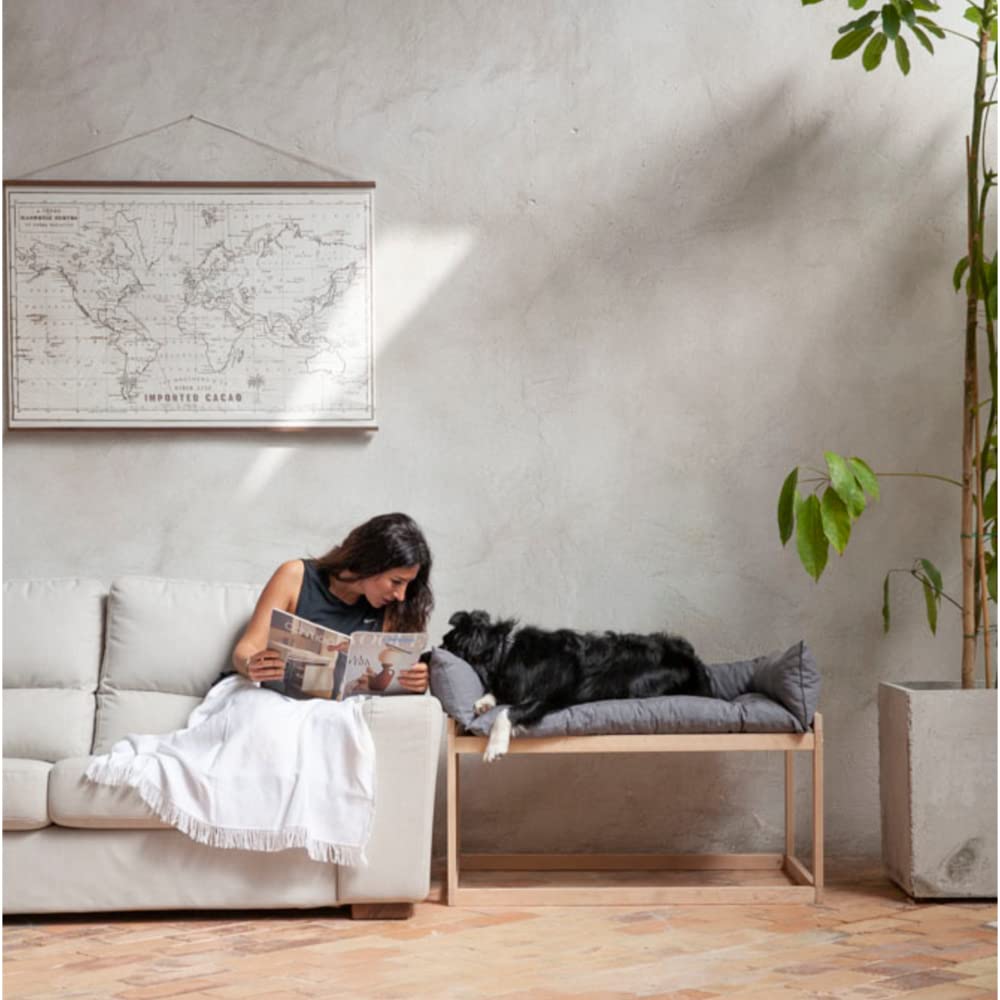 COOL · DREAMS Erhöhtes Bett für Hunde und Katzen antistress Colecho Neben Ihrem Haustier (3 Höhen). Ideal für große, mittlere und kleine Haustiere. Savannah CoolDreams