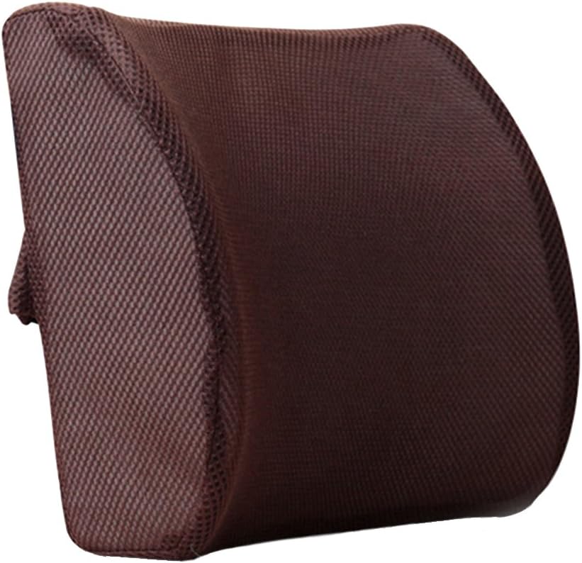 HomDSim Memory Foam Lumbar Cushion Lower Back Support Pillow Posture