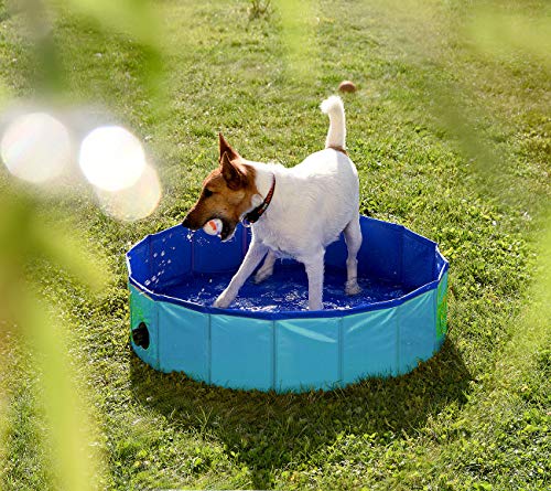 Sweetypet Pool: Faltbarer Hundepool mit rutschfestem Boden & Ablassventil, 80 x 20 cm (Faltbarer Pool, Faltbares Planschbecken, Hund)