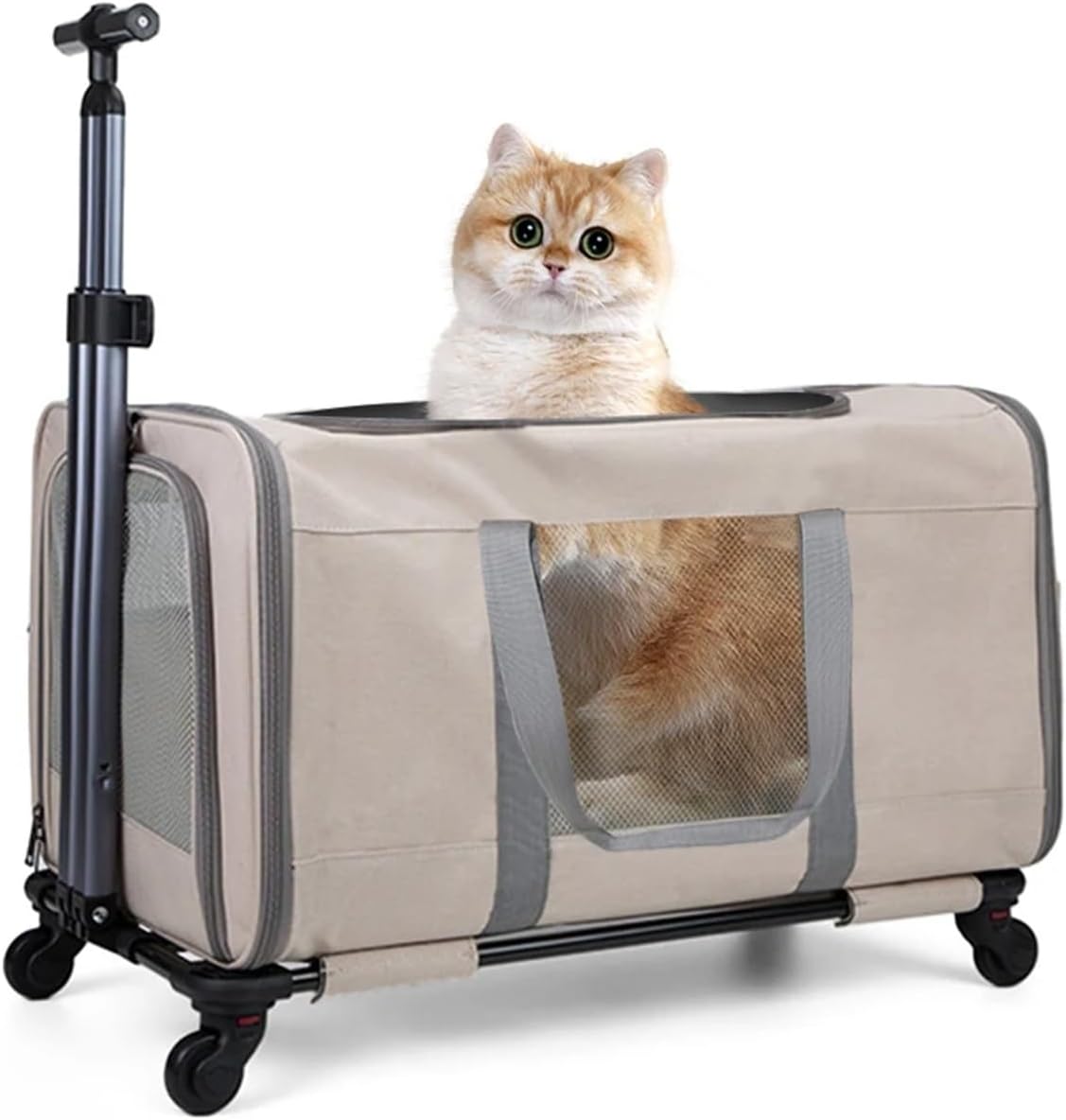 Large Cat Trolley Transport Box for 2 Cats, Travel Carrier with Wheels & Safety Belts(Black)