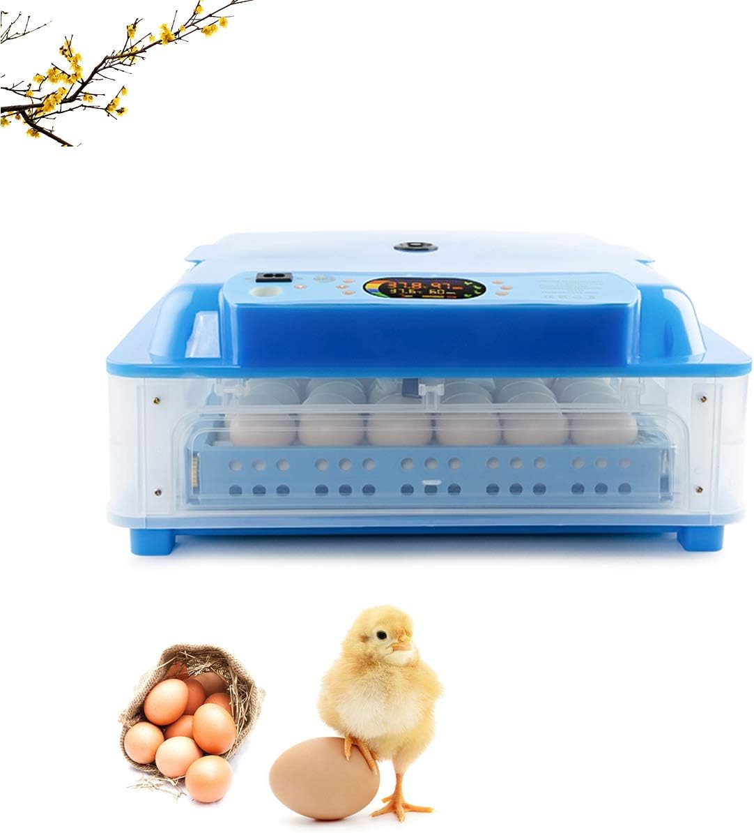 WishY Egg Incubator Automatic Turning And Hatching, Incubator for, Egg Hatching Incubator Machine for Eggs,Duck Eggs,Fire Eggs(64 Eggs)