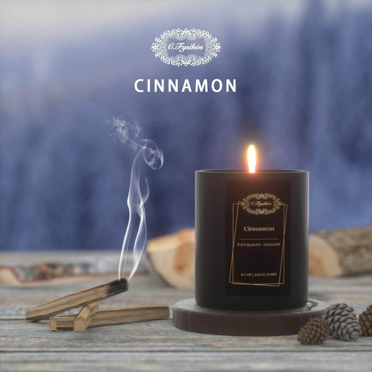 C.Fysikós Scented Candles | Soy Candles | Candles for Home Scented | Aromatherapy Candle | Long Lasting Scented Candles | Cinnamon & Vanilla Candle | Candles Gifts for Women | 8 oz 45 Hour Burn : Health & Household