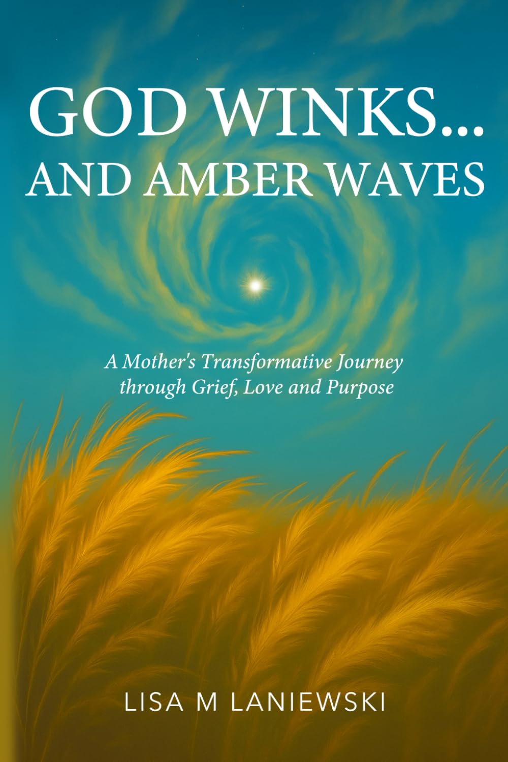 God Winks...and Amber Waves: A Mother's Transformative Journey through Grief, Love and Purpose