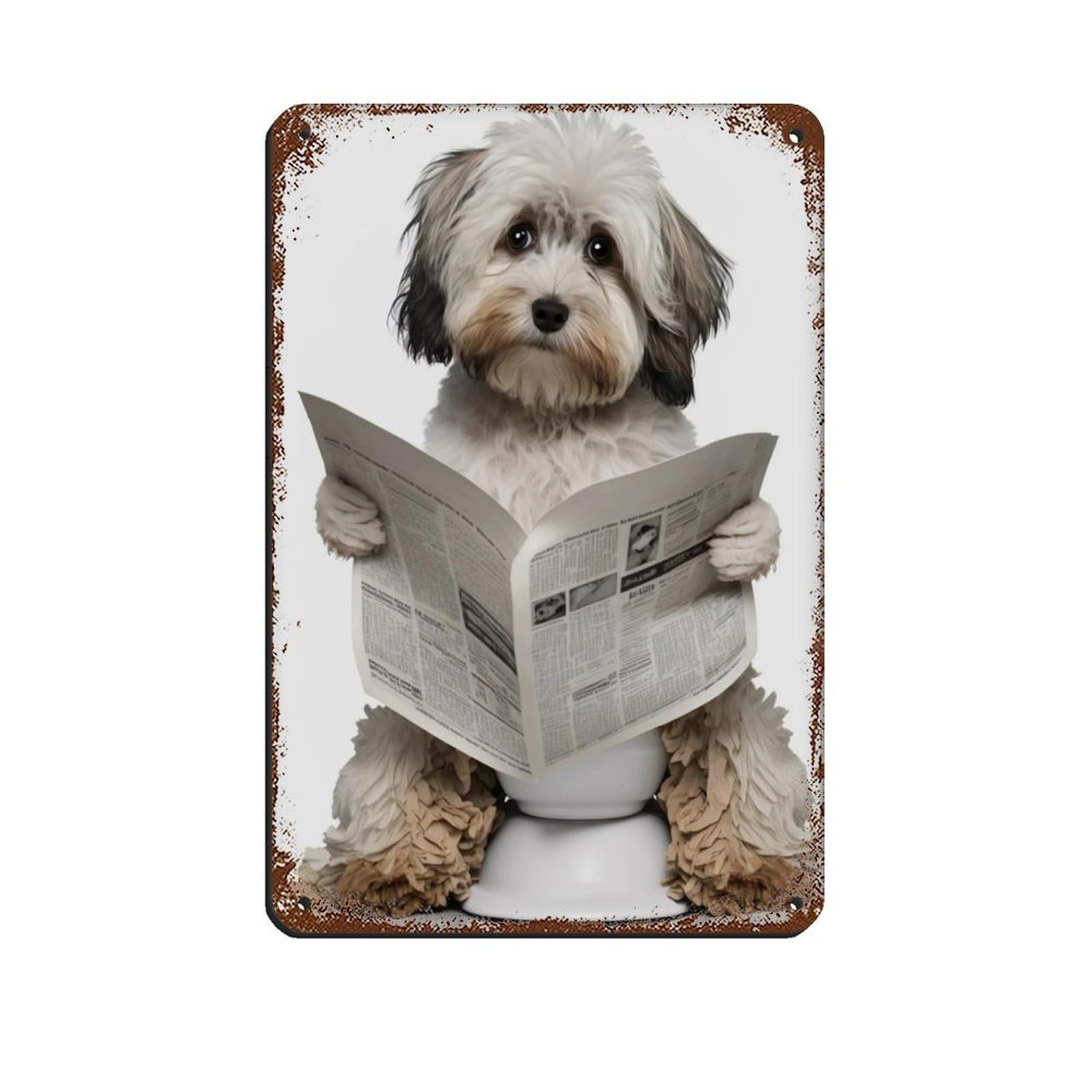 Lxwnze 20L X 30W Cm Havanese Sitting On The Toilet Reading A Newspaper Tin Sign Vintage Metal Pub Club Cafe Bar Home Wall Art Decoration Poster Retro 8X12inch(20X30cm)