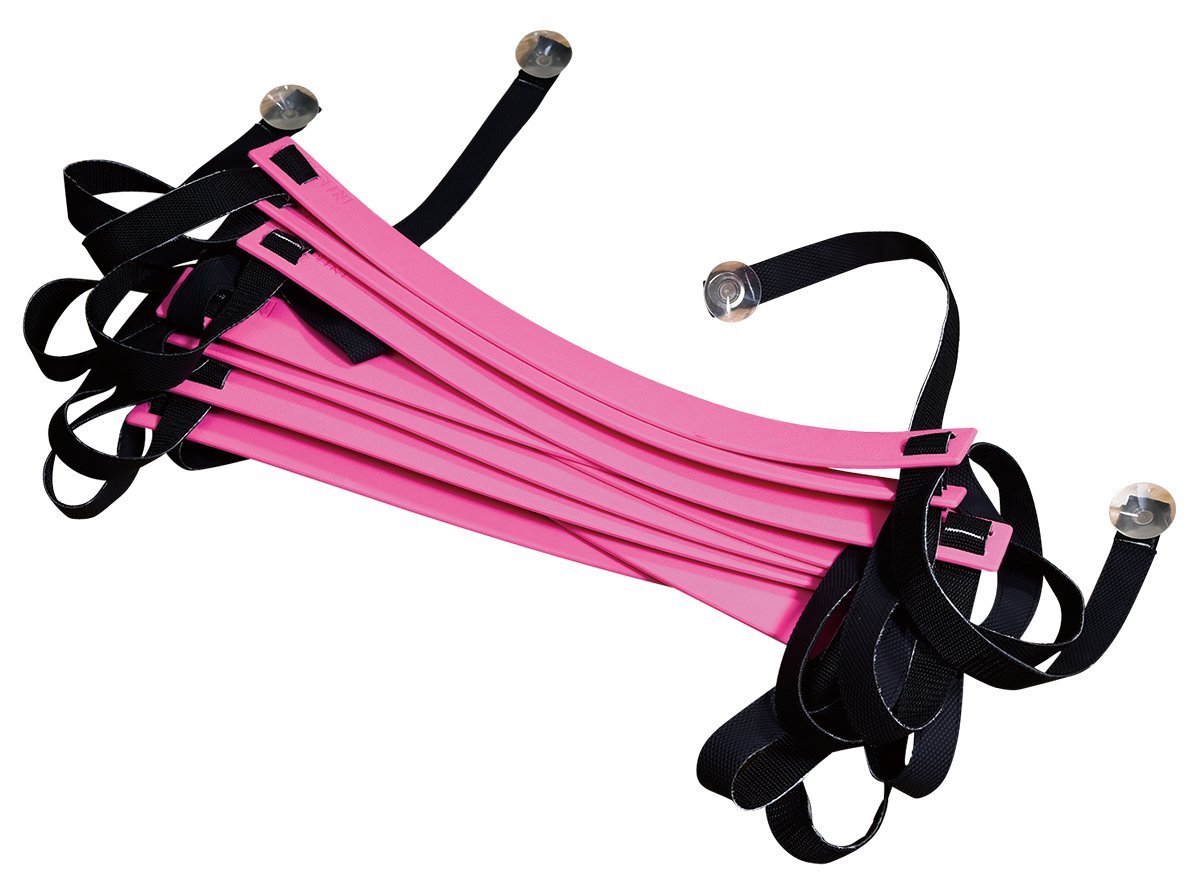 Amazon.co.jp: NISHI(ニシ・スポーツ) トレーニング用品 ラダー