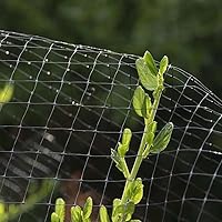Vista 7 de Red para pájaros de 7 x 25 pies – Malla de jardín de 3/4 pulgadas para protección de plantas, malla de valla de ciervos contra pájaros, ardillas