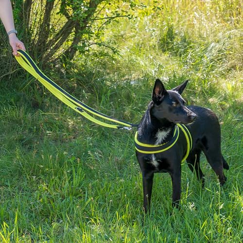 Laisse pour chien de taille moyenne jaune réglable Ferplast - 3