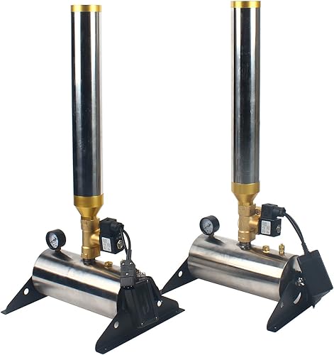 Máquina lanzadora de confeti de 2 piezas, máquina de cañón de confeti de 110 V con control remoto, máquina de saludo de confeti para conciertos,