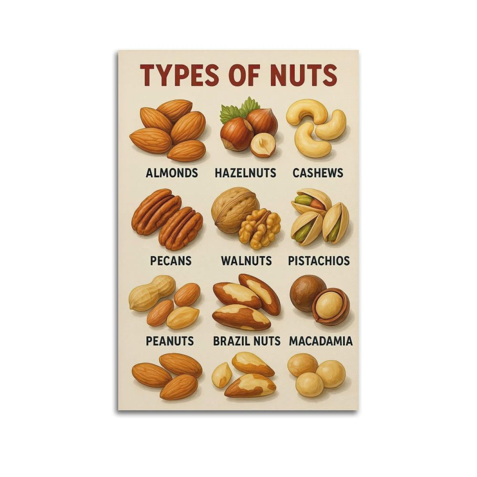 XKUGA Kids' Kitchen Science Nuts Types Guide Poster Modern Decorative Canvas Prints - Ideal Wall Art for Family, Man Cave, Game Room, Boys & Girls Bedroom 24x36inch(60x90cm)