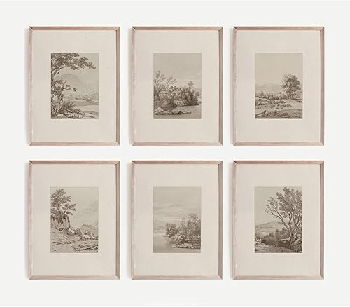 Joocrise Juego de 6 lienzos decorativos neutros para pared, arte de pared rústico de granja, impresiones botánicas, cuadros campestres, arte vintage