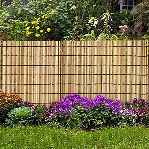 Biggun 2 Pack 13' x 1.6' Natural Reed Fence, Privacy Fence Screen Panels Eco-Friendly Garden Reed Fencing Roll Outdoor Reed Fencing Cover Netting for Backyard, Patio, Garden