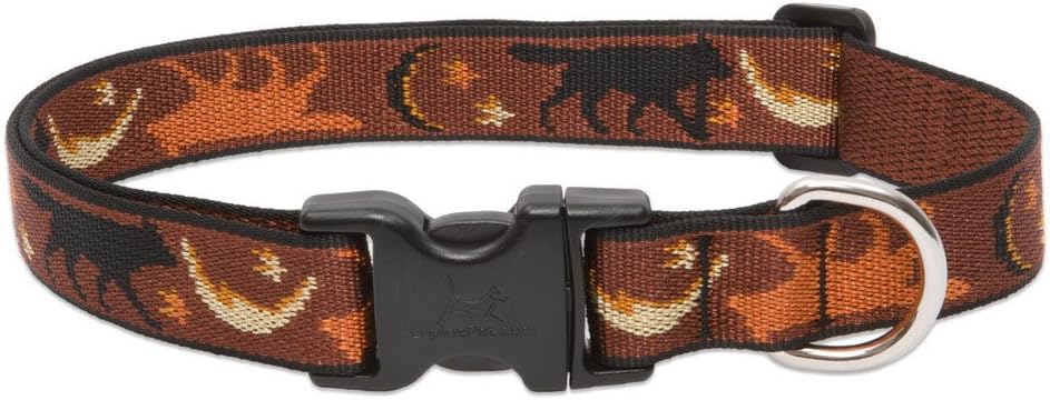 LupinePet Originals 1" Shadow Hunter 12-20" Adjustable Collar for Medium and Larger Dogs