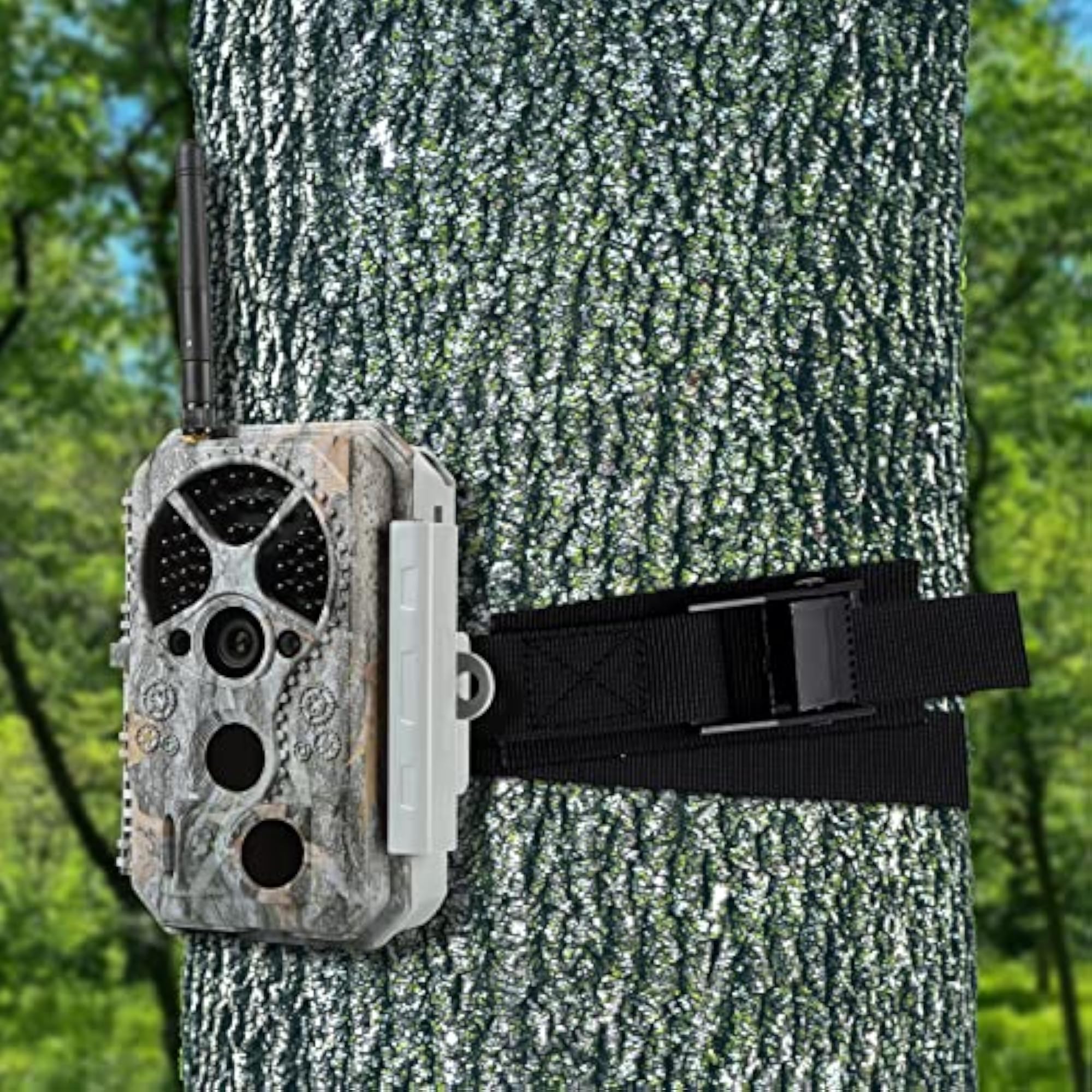 6.6ft Heavy Duty Lashing Straps with Adjustable Cam Buckles
