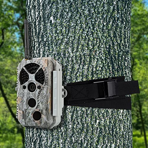 Image of 6.6ft Lashing Straps with Adjustable Cam Buckles Tie Down Cinch Straps up to 550lbs for Packing,Cargo,Luggage,Motorcycles,Truck Black 6 Pack (6.6' x 1 inch)