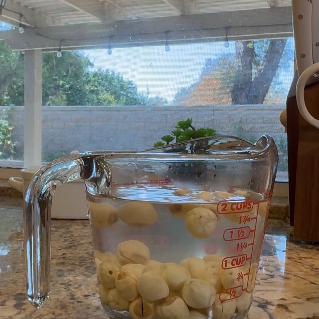 Amazon.com: DOL Natural Dried Lotus Seeds Packed In USA 莲子干 16