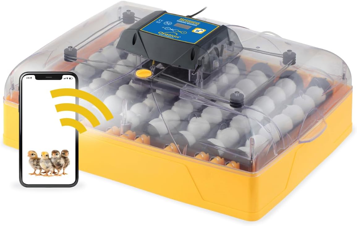 Ovation 56 EX Connect App Controlled Egg Incubator with Automatic Egg Turning and Humidity Control for Hatching 56 Chicken, Duck, Other Eggs, Precision App-Driven Digital Controls and Alarms