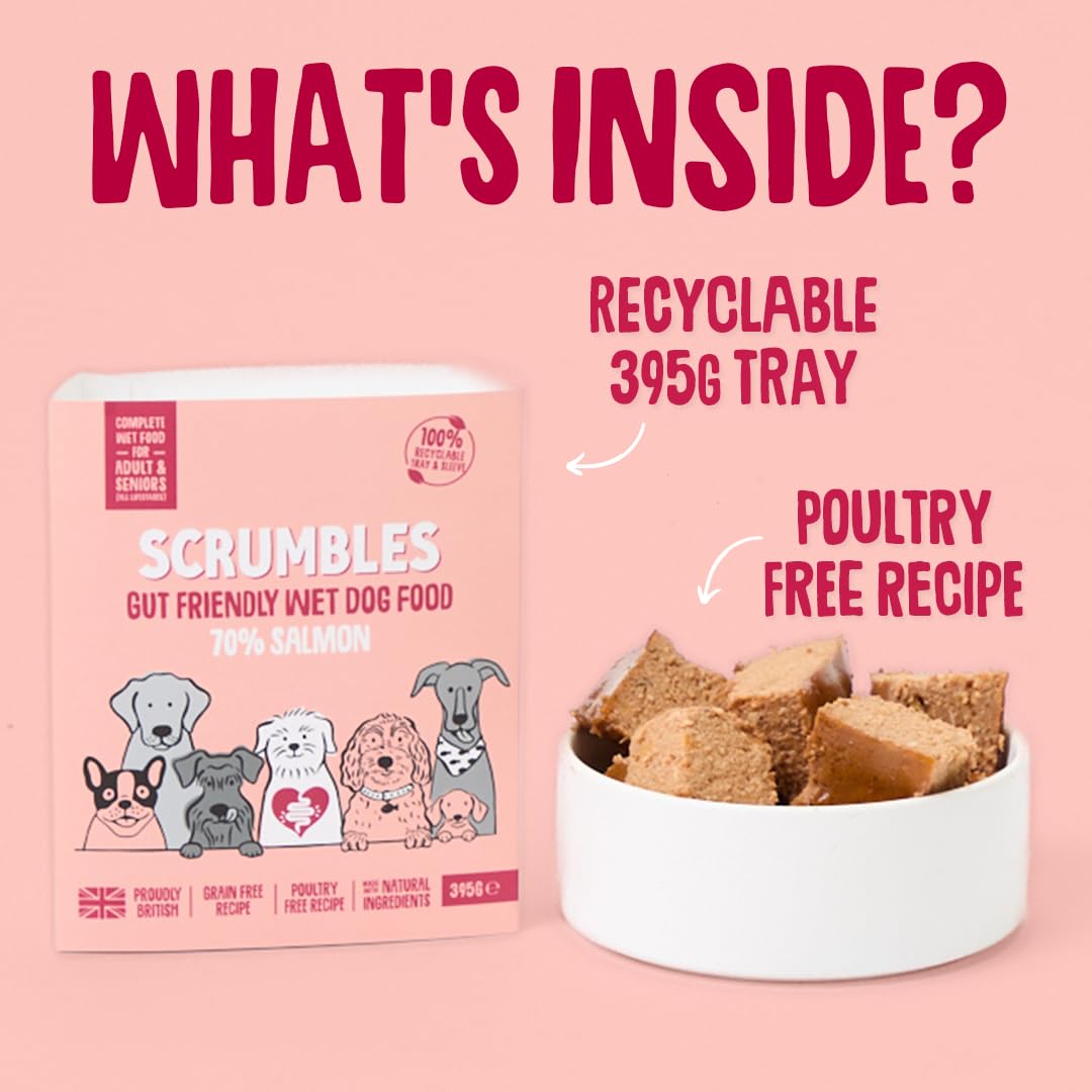 Scrumbles Natural Wet Dog Food, Grain Free Recipe with 70% Salmon and Slipper...