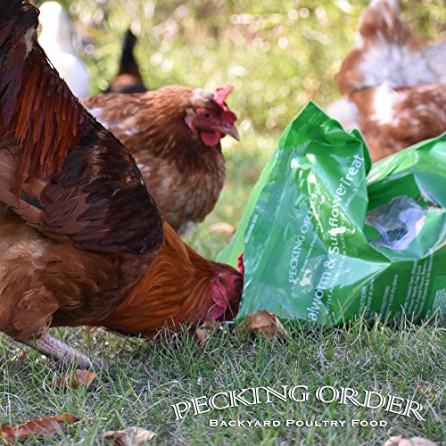 Pecking Order 9329 009329 Mealworm & Sunflower Treat, 8 Lb #TOP3