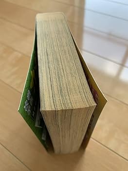 カメレオン　全巻セット　1〜47巻　加藤あつし カメレオン 全巻 1〜47巻セット 加藤あつし カメレオン 全巻 1