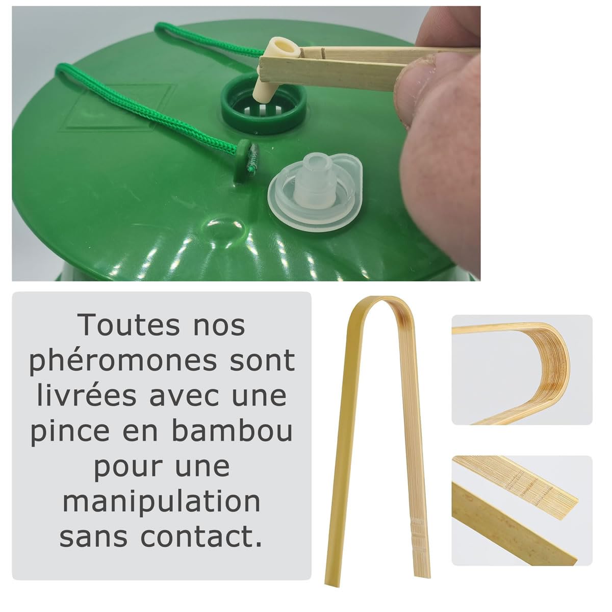 SOLUPHERO - 12 Phéromones Mineuse Marronnier Bio - Efficacité par Capsule de 4 à 6 Semaines - Phéromone Écologique de Contrôle de Cameraria Ohridella