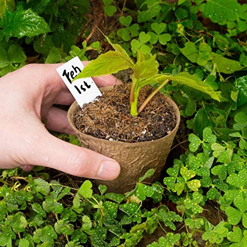 Vumdua 3\" Peat Pots with Plant Label, Biodegradable Seed Starter Kit for Vegetables, Herbs, Fruits, Flowers - 100 Pcs Planting Pots & 100 Pcs Plastic Plant Markers - Thumbnail 3