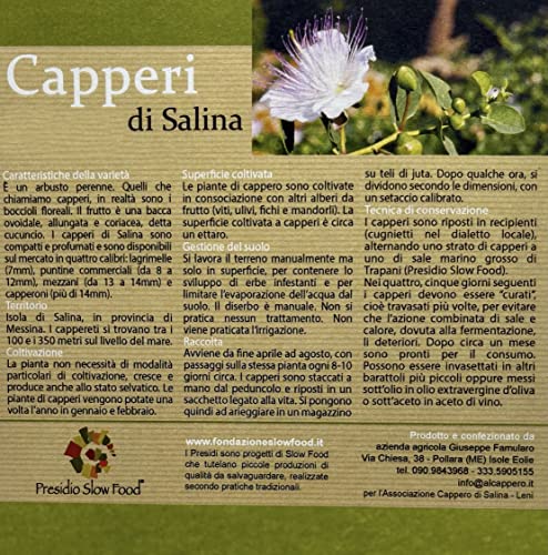 Capperi di Salina al sale calibro piccolo