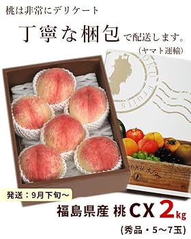 しいもも様 398数量限定早勝ち福島県産希少品種CXシーエクス硬い桃 4〜