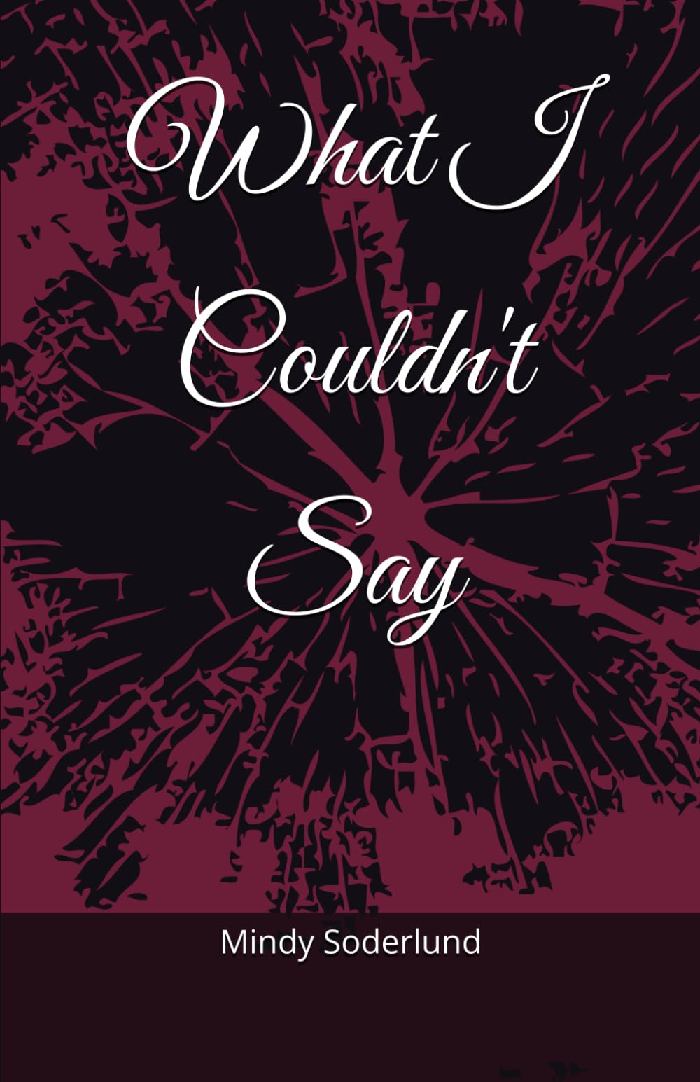 What I Couldn't Say