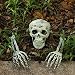 Halloween Decor Groundbreaker Halloween Skeleton Stakes Skull with 16 Inch Foam R.I.P. Graveyard Tombstone Best Outdoor Halloween Decoration Prop