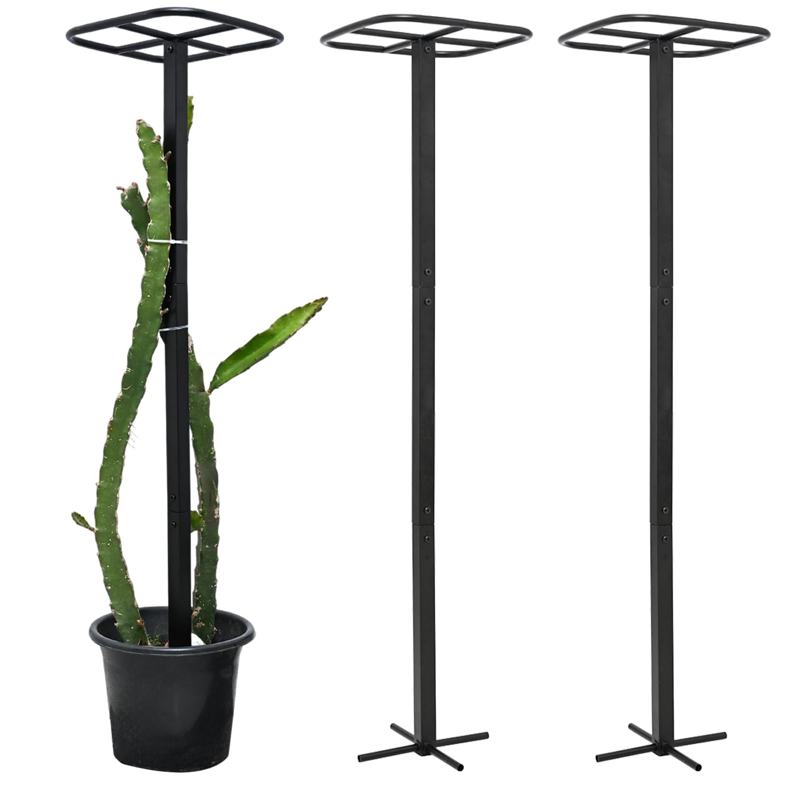 Yohsnor 2-Pack 50 inch Dragon Fruit Trellis
