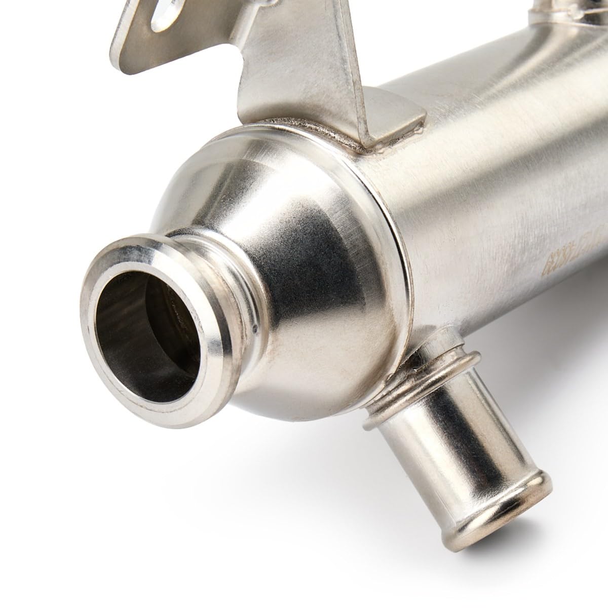 RIDEX 1145E0124 Valvola EGR senza guarnizioni senza valvola EGR (ricircolo gas scarico) Compatibilità con FIAT Scudo Van 220