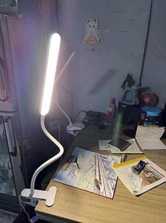 LED Desk Lamp, Swing Arm Table Lamp with Clamp, Flexible Gooseneck Task Lamp, Eye-Caring Architect Desk Light, 3 Modes 10 Brightness Levels, Memory Function Desk Lamps for Home Office, 10W