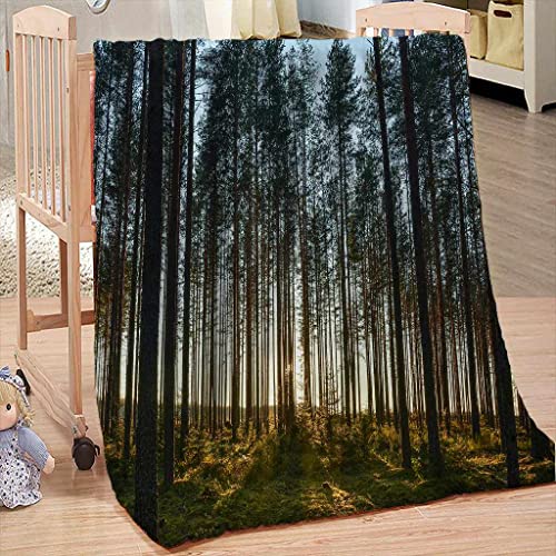 Skpell Blankets Throws 3D Printing Woods Landscape Flannel Fluffy Fleece Blanket Throw Kids Teen Girls Boys Ultra Soft Microfiber For Bed Sofa Living Room 31.5X51.2 Inch #TOP1