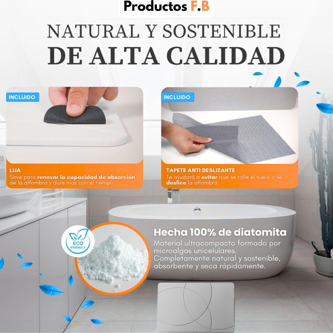 F.B Tapis de bain en diatomite, 40 x 30 cm, absorption rapide, anti-fongique, anti-odeurs, gris clair