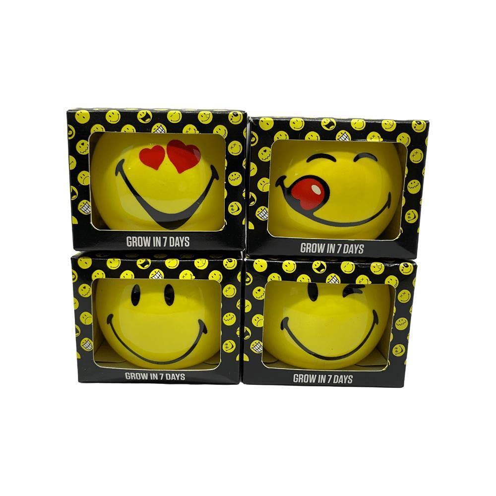 Paris Garden Smiley World, Yellow, PG-7537