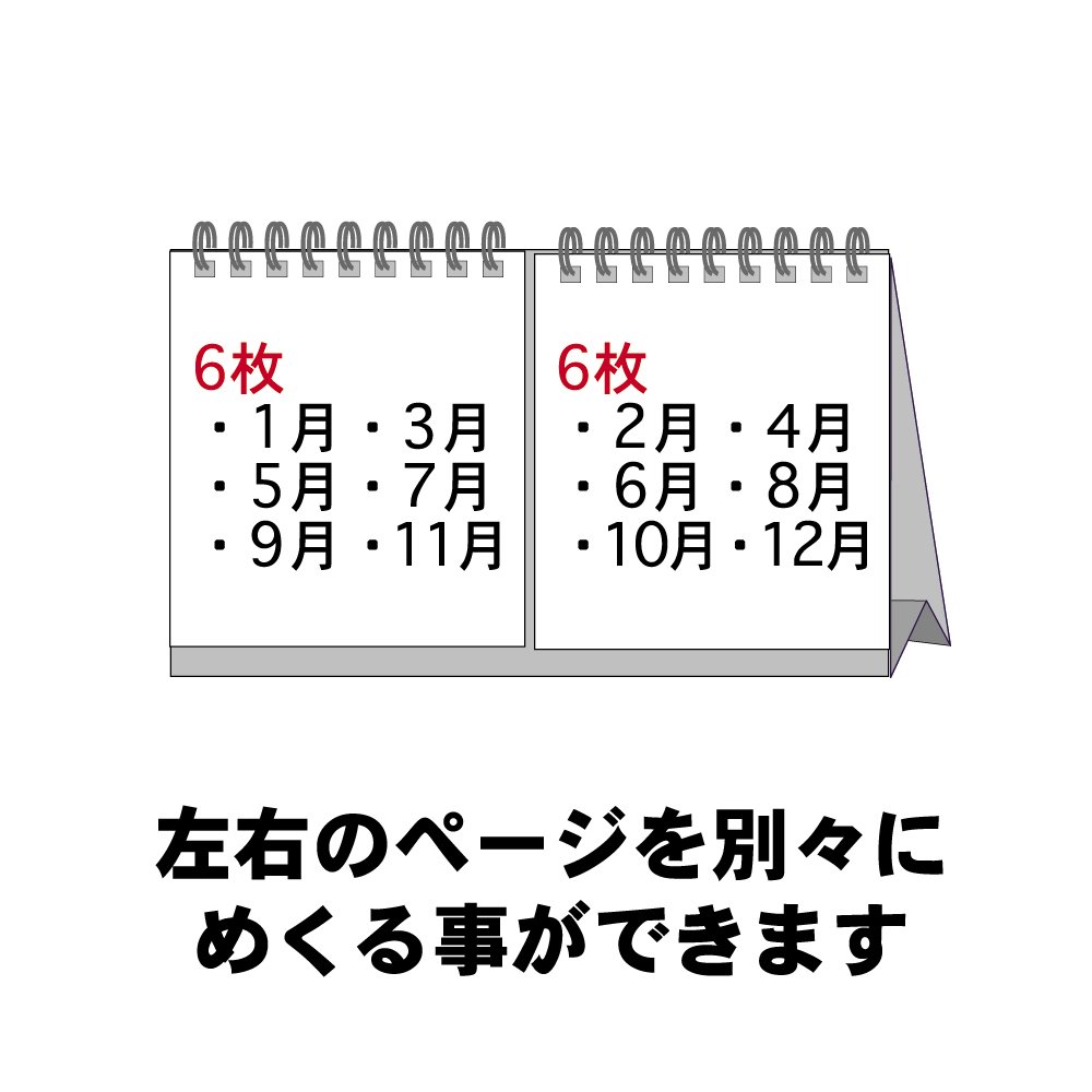 Amazon | エムプラン 2024年 キュービックス カレンダー 卓上