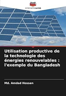 Utilisation productive de la technologie des énergies renouvelables : l