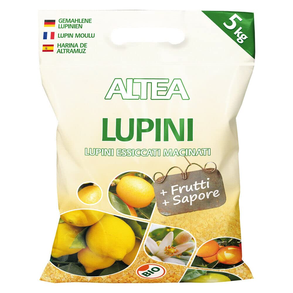 Agrumes Altea Bio 4,5 kg pour faire le plein d'energie naturelle en hiver