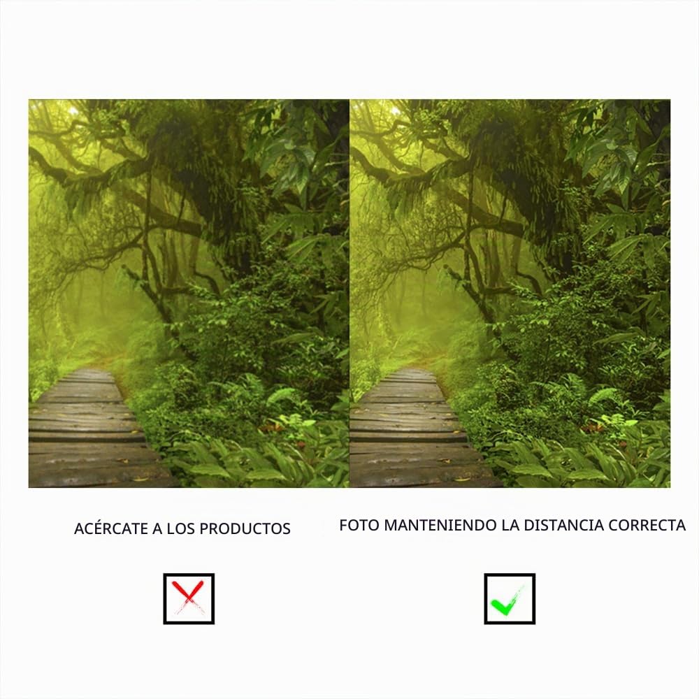 YongFoto 3x2m Vinilo Fondo de fotografía Ver Bosque Verde Selvas Grandes árboles Viejos Camino de Madera Estrecho Telón de Fondo de Fotografía Estudio de Foto Studio Props