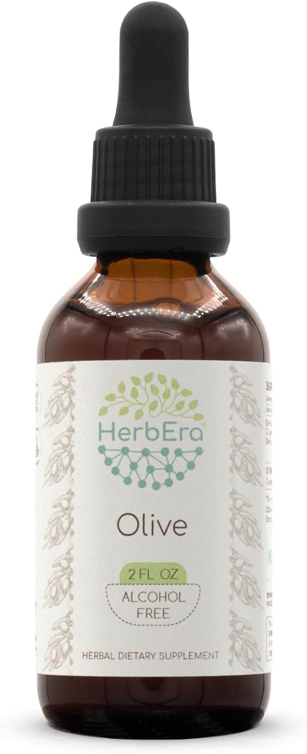 HerbEra Olive B120 Alcohol-Free Herbal Extract Tincture, Concentrated Liquid Drops Natural Olive (Olea europaea) Dried Leaf 4 fl oz