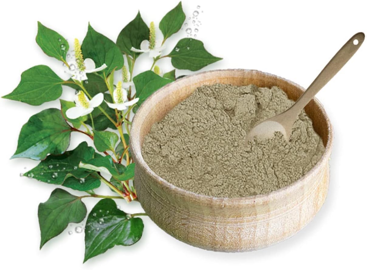 Organic Natural Pure Houttuynia Cordata(Eoseongcho) Extract Powder -10.58 Ounce (300g) - Image 4