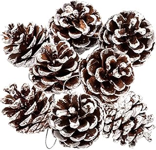 Whaline 25Pcs Christmas Natural Pine Cones Bulk Rustic Snow Pinecones with String Pine Cone Pendant Winter Holiday Hanging Ornament for Xmas Tree Gift Tag Party Decoration, 1.6-2 Inch