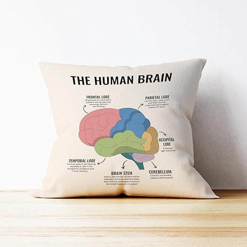 Miniatura 3 de Mancheng-zi Almohada de salud mental, funda de almohada cerebral de 18 x 18 pulgadas, almohadas de aula, almohadas para aula, almohadas para salud