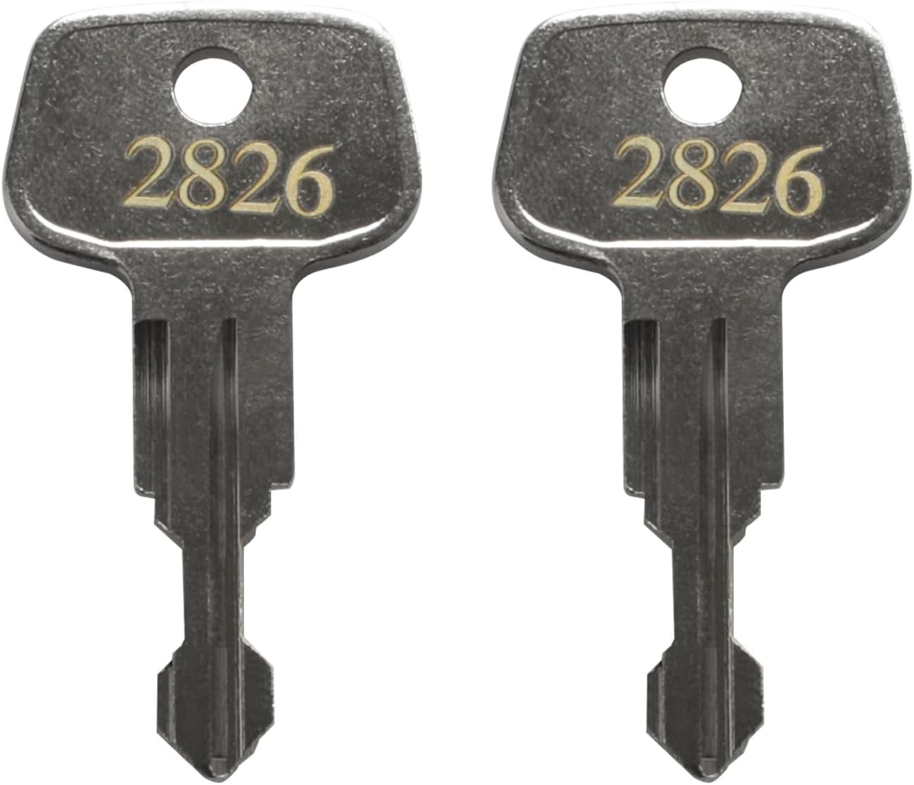2826 X-Cargo Luggage Roof Replacement Keys,X-Cargo Roof Rack Key Karrite Ski Bike xcargo Carrier Skyline Sportrack XL,Replacement Key for X-Cargo roof Racks[2 Pack], Silver